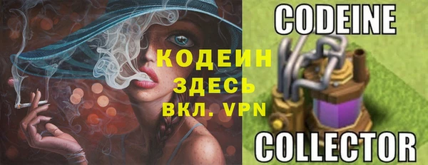 гидра Новозыбков