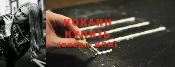 гидра Новозыбков