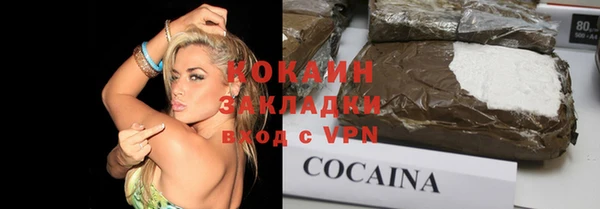 гидра Новозыбков