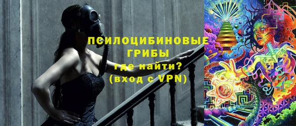 молекула духа Новокубанск