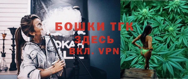 гидра Новозыбков