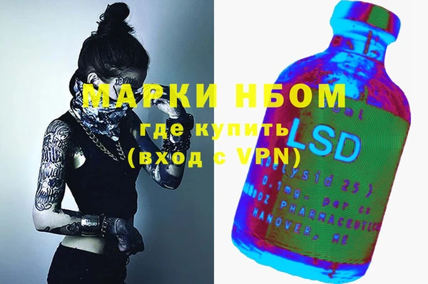 молекула духа Новокубанск