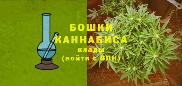 прущие крисы Новодвинск
