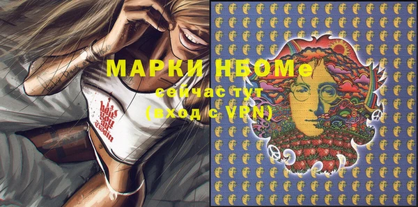 гидра Новозыбков