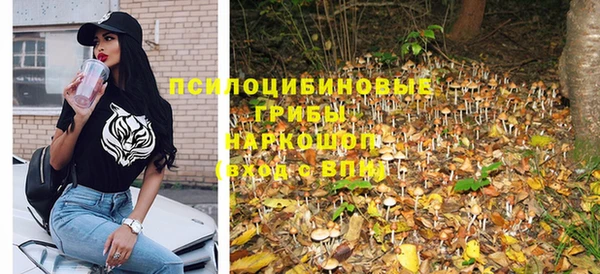 молекула духа Новокубанск
