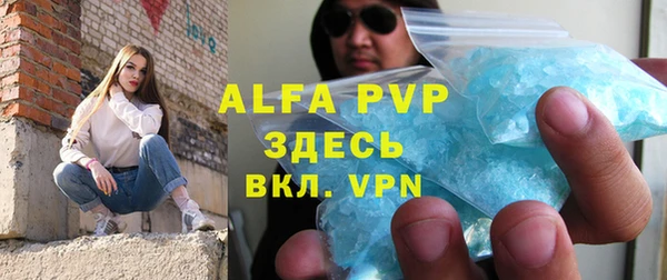 гидра Новозыбков