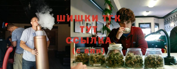 молекула духа Новокубанск