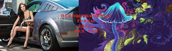 молекула духа Новокубанск