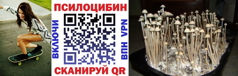 ссылка на мегу tor  Осташков  Псилоцибиновые грибы MAGIC MUSHROOMS 